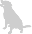 イラストc