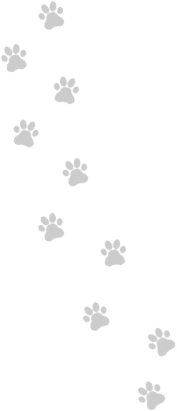イラストe