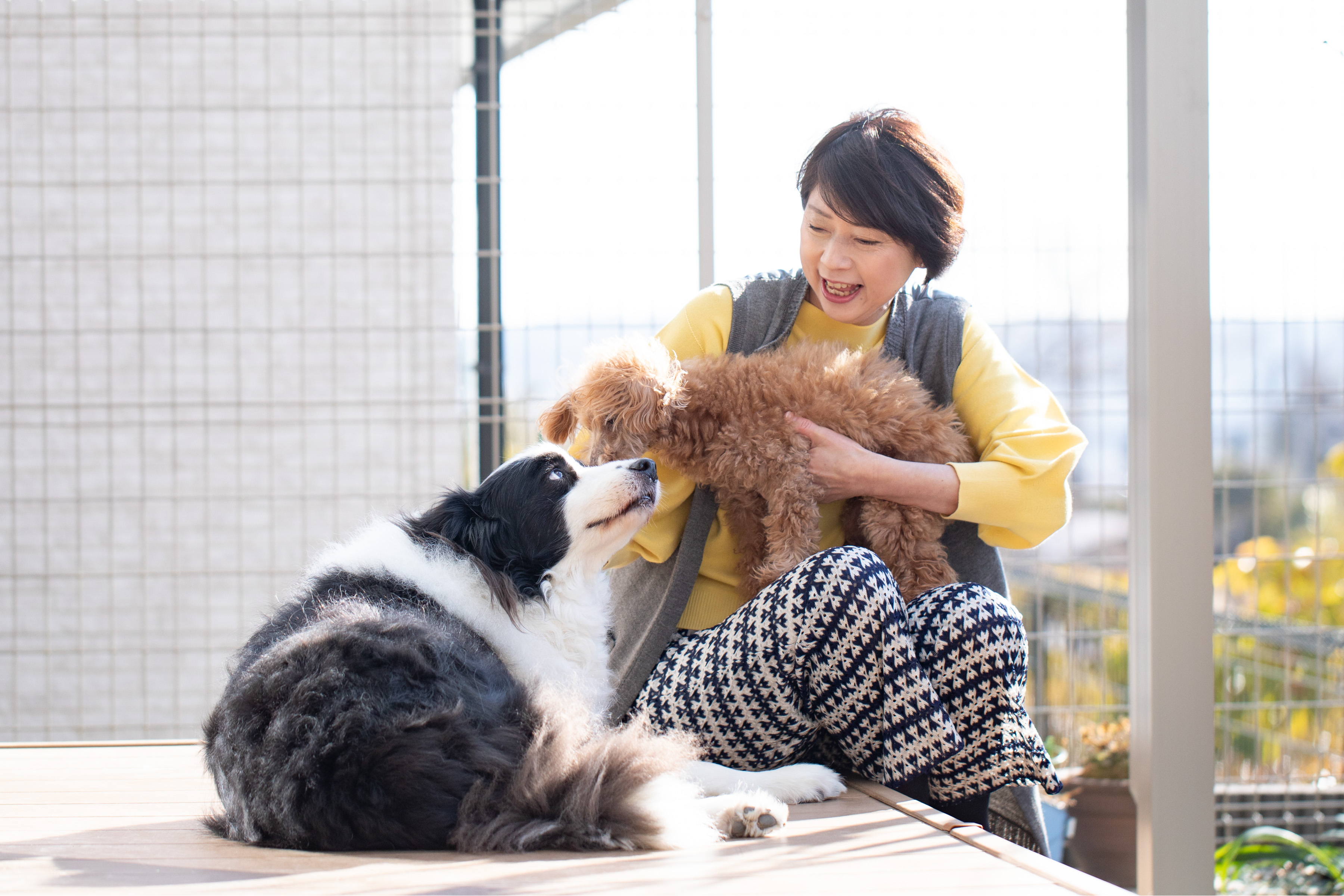 人物と犬2